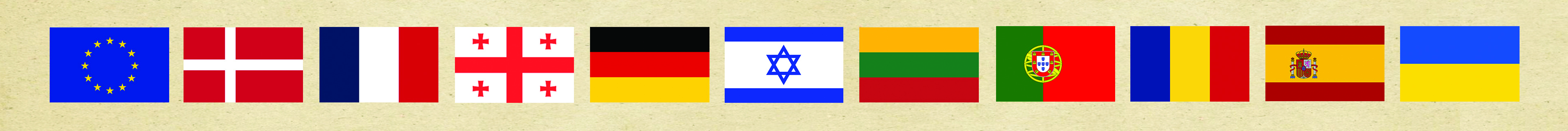 RAVK6 flag